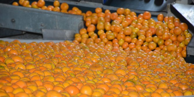 'Her gün 5 mandalina tüketin'