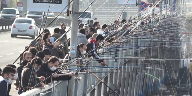 Olta balıkçılarından korkutan görüntüler... Yan yana, omuz omuza, neredeyse sırt sırta
