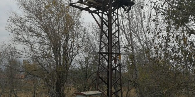 Trafo üzerinde yanmış halde bulundu