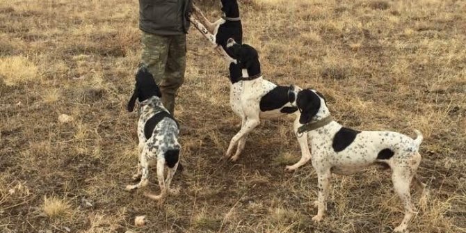 Sokağa çıkma kısıtlamaları avcıları olumsuz etkiledi