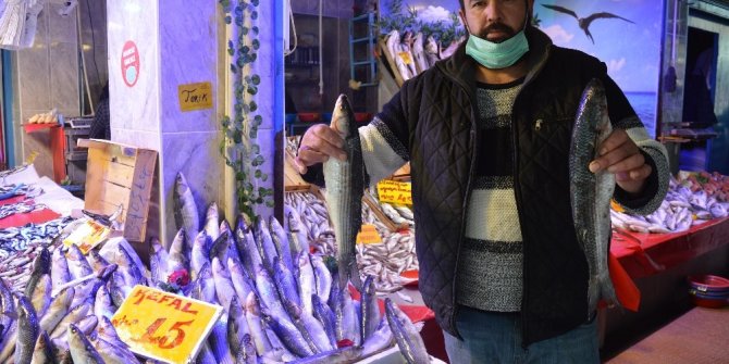 Kefal 15 lira ile tezgâhın en ucuz balığı oldu