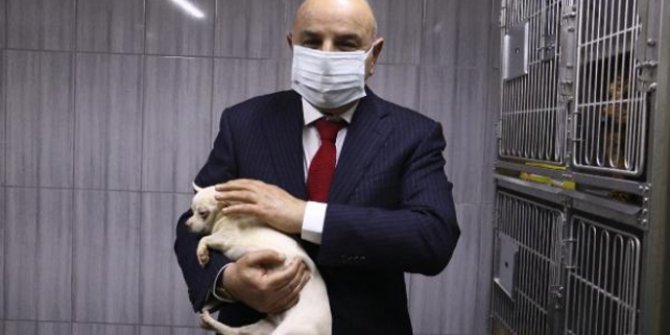 Ses telleri alındığı iddia edilen köpeklere Keçiören Belediyesi sahip çıktı