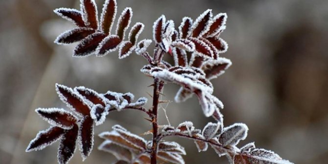 Meteoroloji'den buzlanma ve don uyarısı