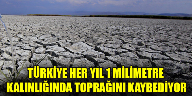 Türkiye her yıl 1 milimetre kalınlığında toprağını kaybediyor