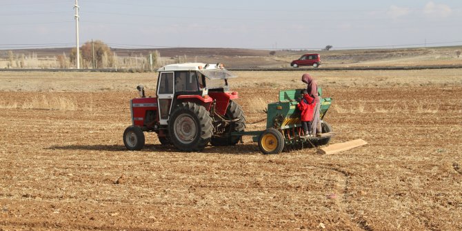 Beyşehir Gölü Havzasında çiftçiler pandemi döneminde de mesaisini sürdürüyor
