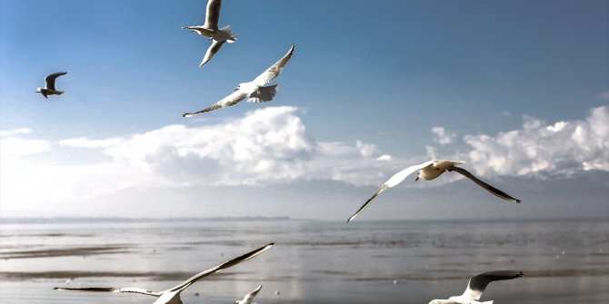 Anamas Dağı'nın yükseklerinde kar, eteklerinde sonbahar havası var