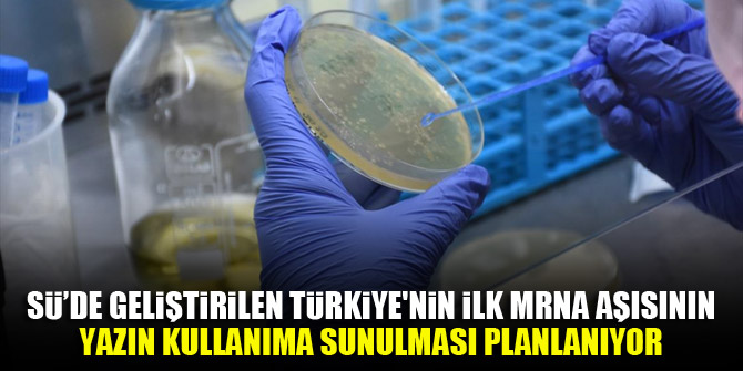 Selçuk Üniversitesi'nde geliştirilen Türkiye'nin ilk mRNA aşısının yazın kullanıma sunulması planlanıyor