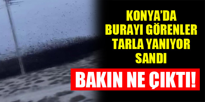 Konya'da burayı görenler tarla yanıyor sandı, bakın ne çıktı!