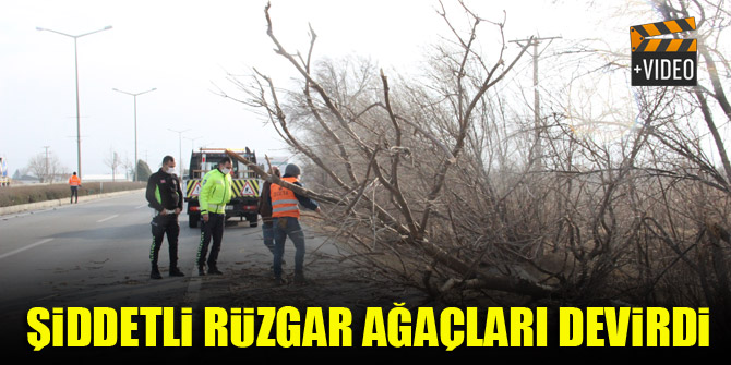 Karaman’da şiddetli rüzgar ağaçları devirdi