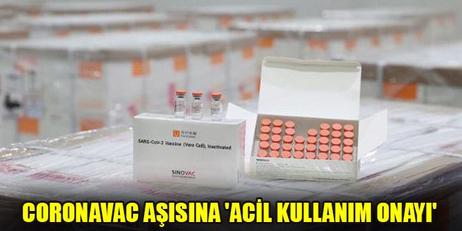 CoronaVac aşısına 'Acil Kullanım Onayı'