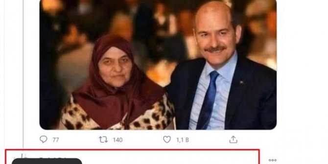 Bakan Soylu: Annemle fotomun altına küfreden alçak adli kontrolle serbest