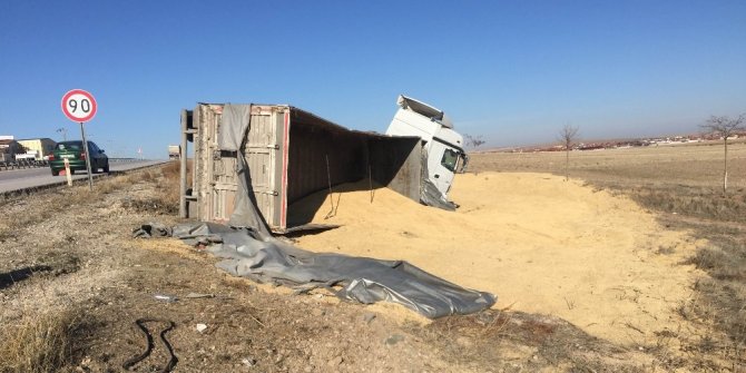 Arpa yüklü tır devrildi: 1 yaralı