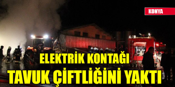 Elektrik kontağı tavuk çiftliğini yaktı