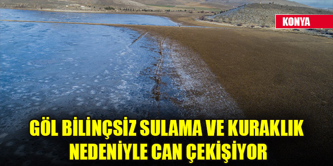 Konya'daki göl bilinçsiz sulama ve kuraklık nedeniyle can çekişiyor