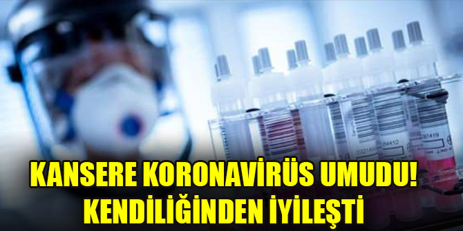 Kansere koronavirüs umudu! Kendiliğinden iyileşti