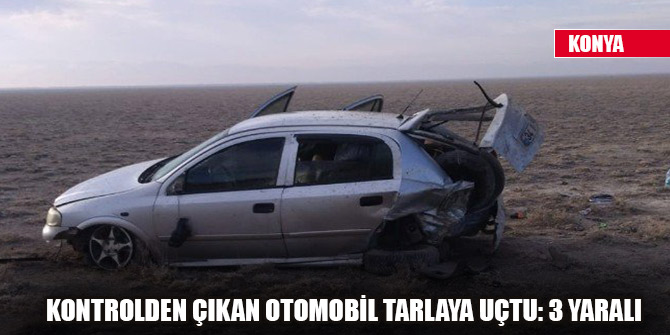 Kontrolden çıkan otomobil tarlaya uçtu: 3 yaralı