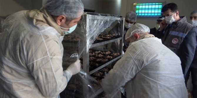 Ülkeyi ayağa kaldıran 100 kilo döner imha edildi