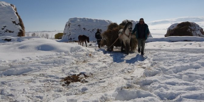Besicilerin kış mevsiminde en büyük destekçileri atlı kızaklar