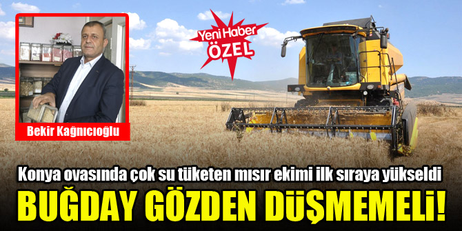 Yeniden buğdaya yönelmek gerek!