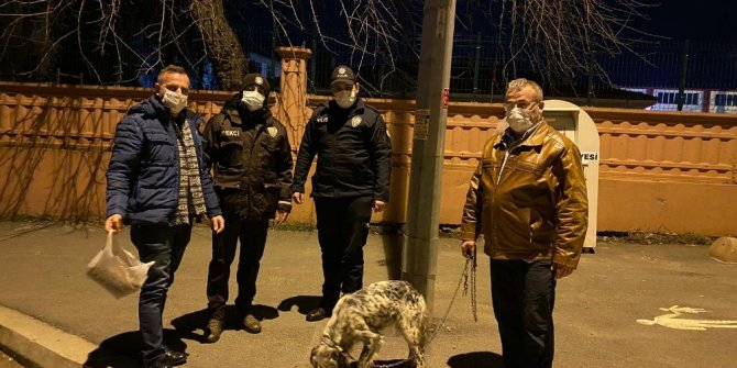 Bu sefer suçlu değil, firari köpeğin sahibini araştırdılar