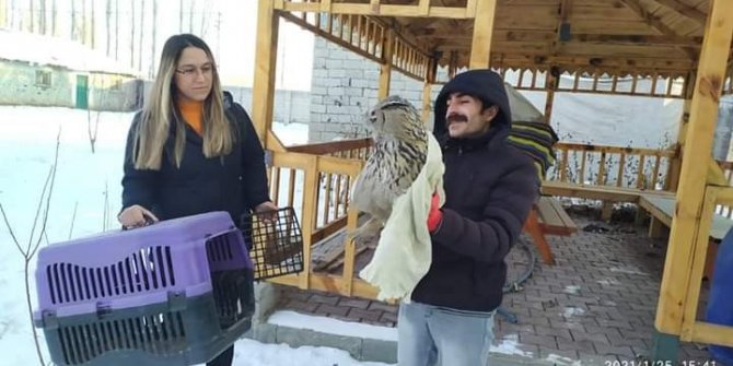 Iğdır’da yaralı puhu kuşu tedavi altına alındı