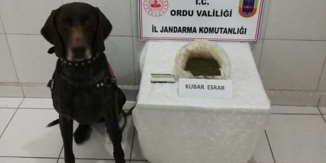 Uyuşturucu satışı yapan 2 torbacı yakalandı