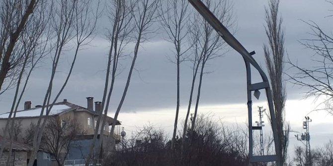 Tokat'ta şiddetli rüzgar; ağaçlar devrildi