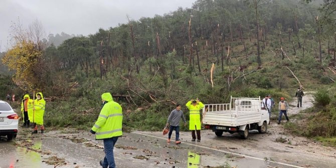 Hortum, ormanı savaş alanına çevirdi