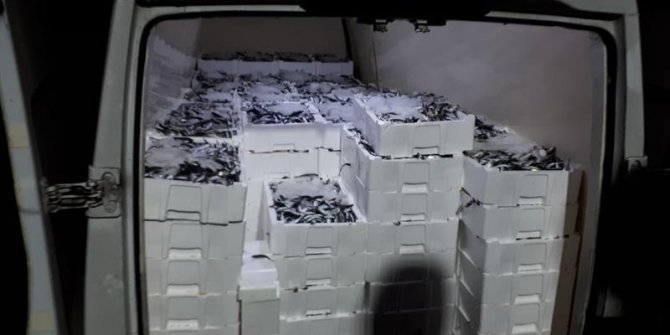 3 ton balığa el konuldu