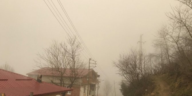 Ordu’dan sis manzarası
