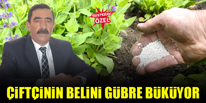 Çiftçinin belini gübre büküyor