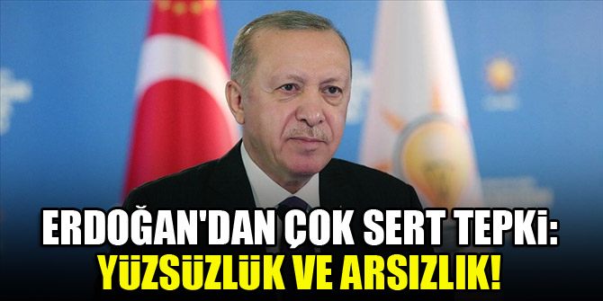 Erdoğan'dan çok sert tepki: Yüzsüzlük ve arsızlık!