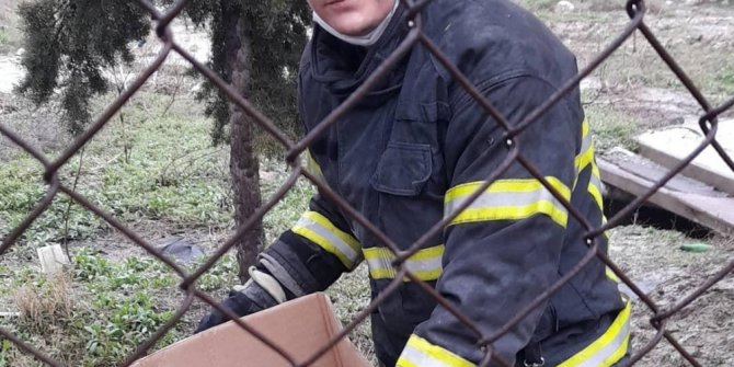 Burdur’da ısınmak için rögara giren yavru köpekler kurtarıldı