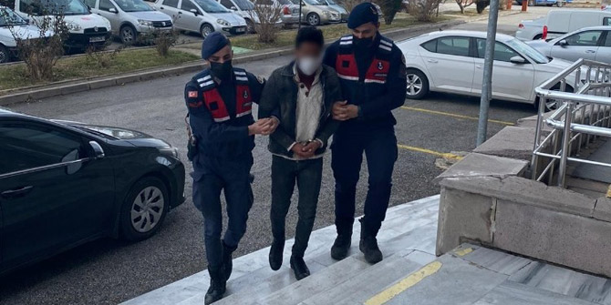 Konya'da meyve fidanı hırsızlığı jandarmaya yakalandı