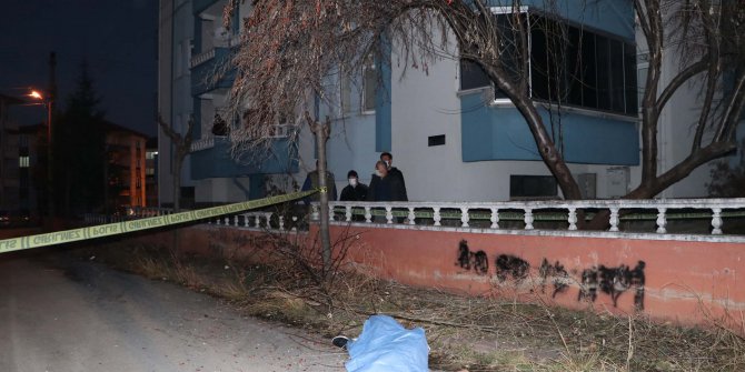 Dallarını kestiği ağaçtan düşerek öldü