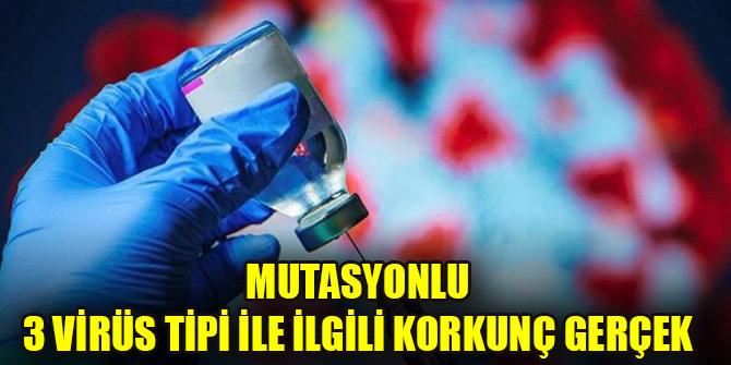 Mutasyonlu 3 virüs tipi ile ilgili korkunç gerçek