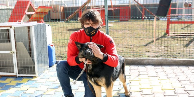 Duyarlı köpek eğitmeni, afetlerde görev yapacak "hassas burunları" gönüllü yetiştiriyor