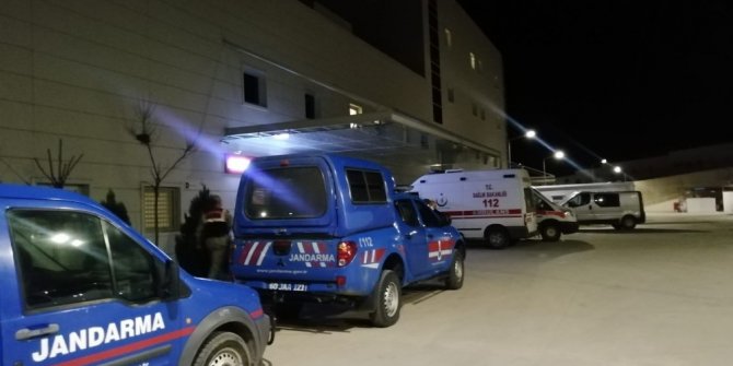Ağaç keserken canından oldu