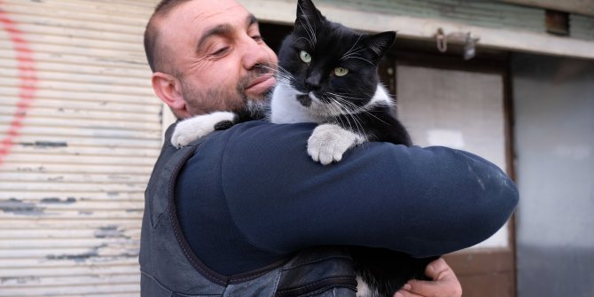 'Kara' kedi, her sabah sahibinin yolunu gözlüyor