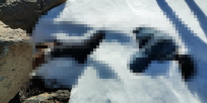 Kayıp zihinsel engellinin 23 gün sonra karlar arasında cesedi bulundu