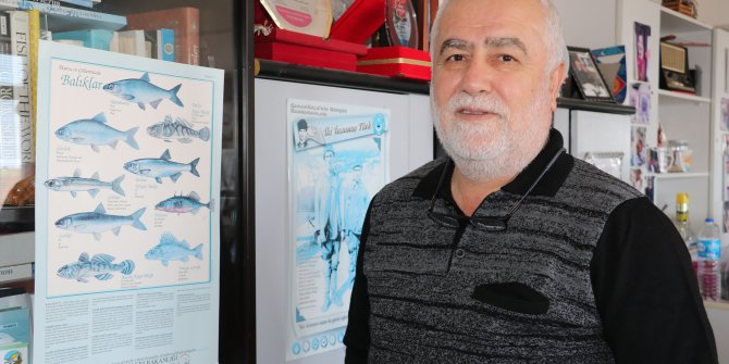 Karadeniz ısındı, balıkların boy ve göç yolları değişti