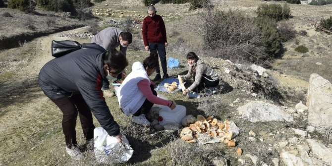 Kazanlar sokak hayvanları için kaynadı