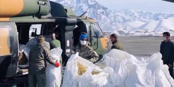 Turkish soldiers leave food for starving goats