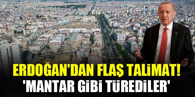 Erdoğan'dan flaş talimat! 'Mantar gibi türediler'