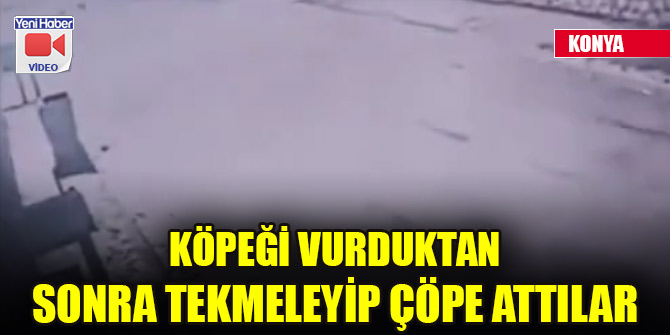Köpeği vurduktan sonra tekmeleyip çöpe attılar