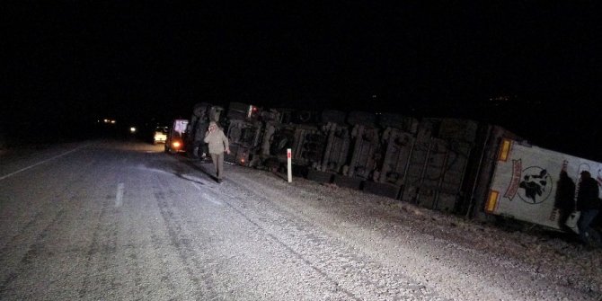 Büyükbaş hayvan yüklü tır devrildi, kurtarma çalışması başlatıldı