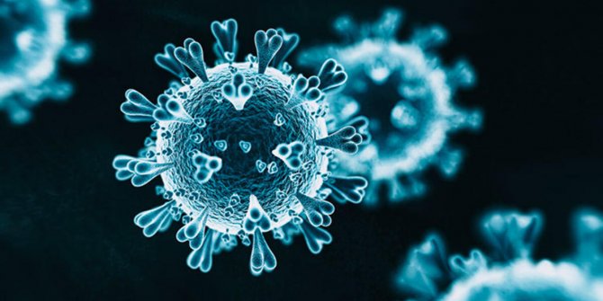 Prof. Dr. Ceyhan: Mutant virüslü hasta sayısı 400 binler civarında