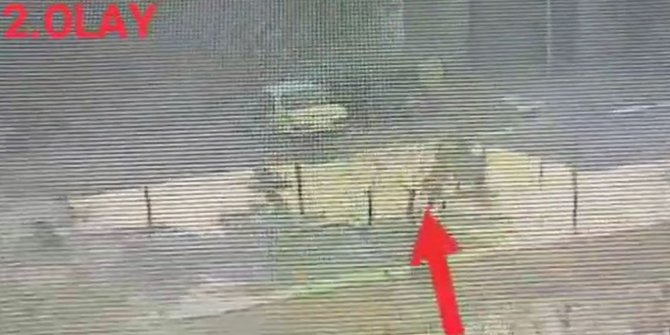 31 suç kaydı bulunan motosiklet hırsızı yakalandı