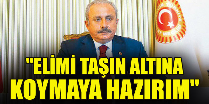 "Elimi taşın altına koymaya hazırım"