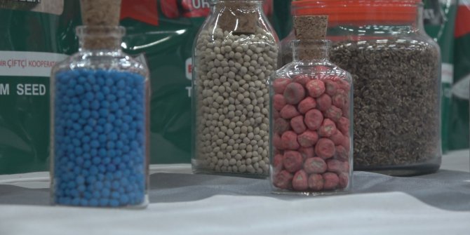 Konya Ovası'nda ayçiçeği üretimi, 260 bin tona çıktı